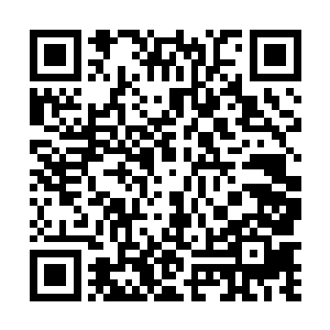 就当领导们决定由我担任公司的正面形象代言人的时候二维码生成