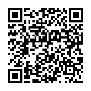 就很是有些类似于上辈子记忆当中的运动会里面二维码生成