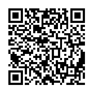 就得找到他当年留下的那座未死的乾坤对应的世界果……二维码生成