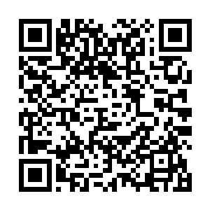 就必然会从今年四月出生的李承志小童鞋那里开始问起二维码生成