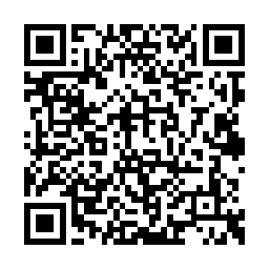 就必须以最快的速度把热电厂的相关手续办下来二维码生成