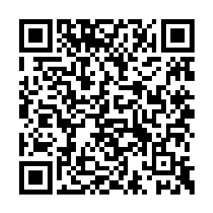 就怕卫大姐头挥舞着拳头在魔兽森林里狂轰滥炸二维码生成