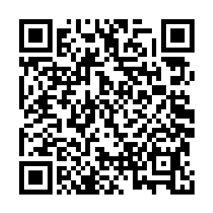 就总是给族里妒忌她的大孩子抢去母亲做的裙子二维码生成