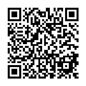 就想把最好的东西都给你……才养成了你这天不怕地不怕的性格二维码生成