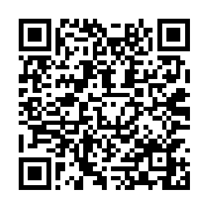 就意味着这世界本身所拥有的能量要高于地仙许多二维码生成