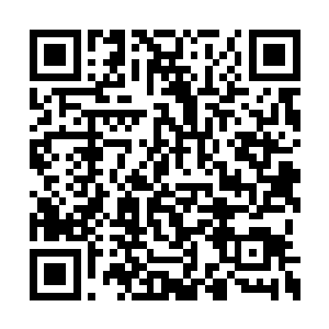 就感觉是它无法消化掉剑尘的这一部分元神之力二维码生成