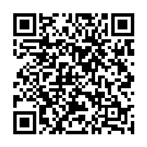 就感觉有几百条熊熊燃烧的荆棘缠绕住了他的脚踝二维码生成