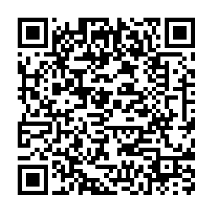 就感觉自己仿佛从一片充满了黄沙的沙漠来到了一片阴凉的绿洲中一样二维码生成
