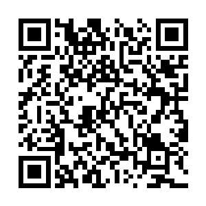 就慢慢靠近土耳其南部接近爱琴海的叙利亚边境了二维码生成
