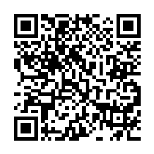 就成了关系到张家未来几百年家族命运和兴衰最重要的事情二维码生成