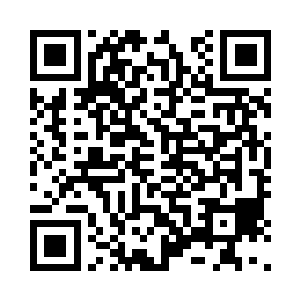 就我这一点实力连给它塞牙缝的资格都没有二维码生成