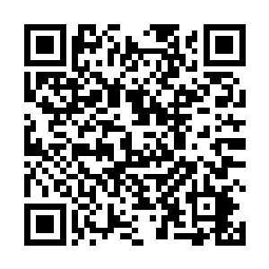 就把两样东西托付给翡翠大陆上首屈一指的宫廷魔法师二维码生成