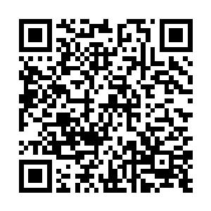 就把今天带豆豆出去玩的事情跟花悠悠随口提了一下二维码生成