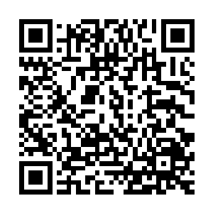 就把公司此前早就制定好的宣传和发行计划都全盘推翻再说了二维码生成