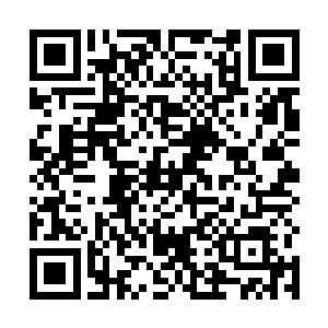 就把刚刚收获的那对新鲜的牛头魔的双角放在了柜台上二维码生成