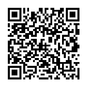 就把各中队递上来难度大的案子给出了方向和线索二维码生成