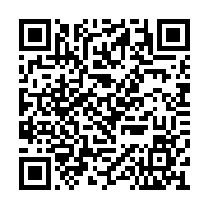就把将上心的身体给摔倒在了会客室的沙发上面二维码生成