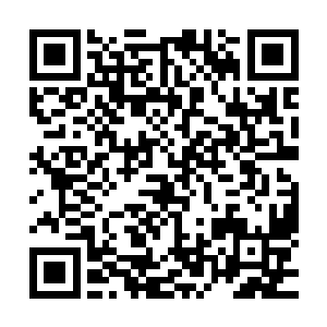 就把当时张大宝只有三岁的儿子抱养在膝下当作亲生儿子来养二维码生成