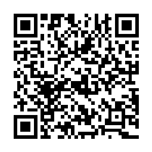 就把怀中那张打着几串不规则小孔的树脂卡片拿了出来二维码生成