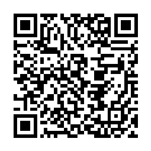 就把这个九级的人族战士逼到了一个逃无可逃的角落二维码生成