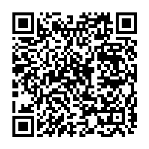 就抬着车上的八个被捆绑结实嘴里塞着破布的人进入骨器店最内里的小门二维码生成