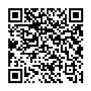 就抵消了增强引力……至少在两世界的暗面一体化完成二维码生成