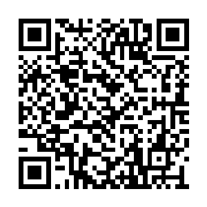 就担心让敌人抄了……叶火雷能强轰出一条道路二维码生成