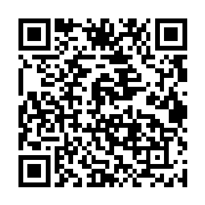 就拥有轩辕大帝都难以抗衡的战斗力……不亲眼所见二维码生成