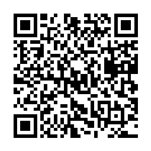 就拿这一次登上这一个小岛来探险的小岛方面的武林人二维码生成