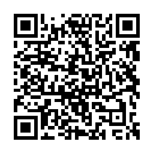 就摸出了几位补血丹出来了……他也没有太小气二维码生成