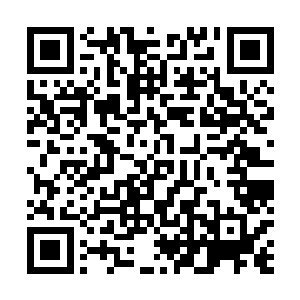 就放过他的宗派和家族――估计是因为他没动此人的女仆二维码生成