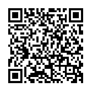 就敢凭着一个大阵硬是去封大罗天的门・如果等到她成长起来二维码生成