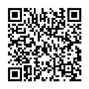 就是……协力斩杀寒月天阁那个名叫叶冲霄的天才二维码生成