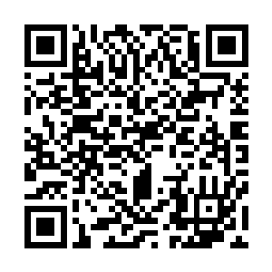 就是……就是……让整个火狼佣兵队差点全军覆没的火烈虎二维码生成