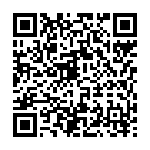 就是…也许楚枫能够抗衡这个如同神灵一般的老者二维码生成