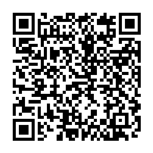 就是一个人尊期的修士在这里亲手砍的大树为他自己盖的木屋和开垦的菜园二维码生成