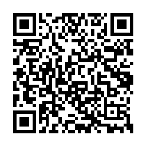 就是一个人形刺猬……秦方这也是被逼成这样的二维码生成