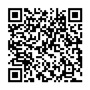 就是一个修士想要完全独立在周围的幻境之外都不可能二维码生成