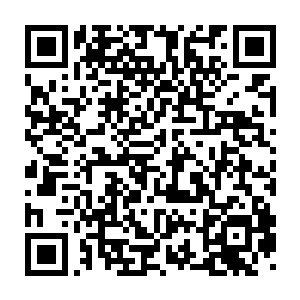 就是一岁多的那个都紧紧的抱着一个比他脑袋小不了多少的大腕排队二维码生成