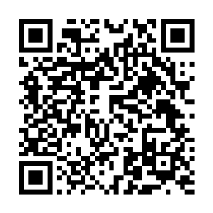 就是一旁一直冷眼当吃瓜群众的陌星子他们也是霍然一惊二维码生成