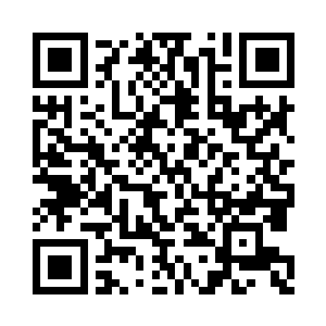 就是一盆金色的龙王兰和一盆血红色的龙王兰二维码生成