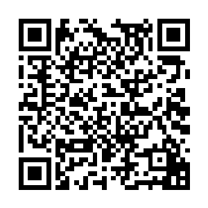 就是一直当米虫都够几辈子逍遥快活的……只不过二维码生成