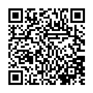 就是一直没吭声和没敢吭声的敖文蕾和那曾孙女只惊愕看了过来二维码生成