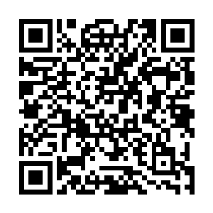 就是一脚就能够被踹掉的小山包也能够驻足那么长的时间二维码生成