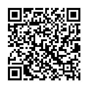 就是上一任殿主将自己体内的本命阎罗剥离给新任殿主二维码生成