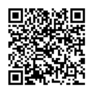 就是上一次给她除去身体当中多余的火元素的时候二维码生成