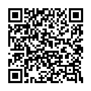 就是上次跟小天他们打篮球故意找茬的那几个吗二维码生成