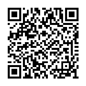 就是上面那两个人的惊世一战肯定是已经打完了二维码生成