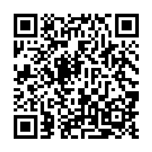 就是不知道你们云家的主子愿不愿意为你们付之一炬了二维码生成