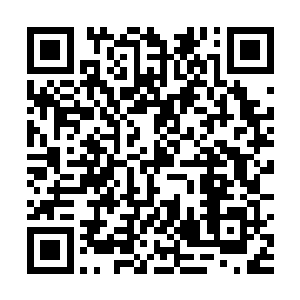 就是不知道你们对snake这支战队是不是也有所了解二维码生成